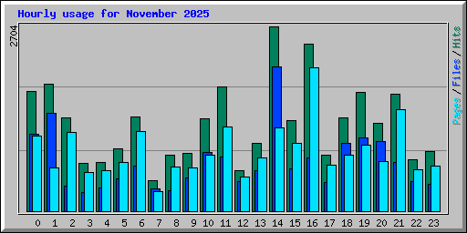 Hourly usage for November 2025