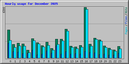 Hourly usage for December 2025