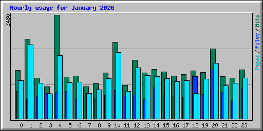 Hourly usage for January 2026