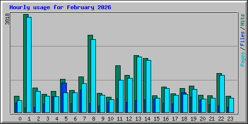 Hourly usage for February 2026